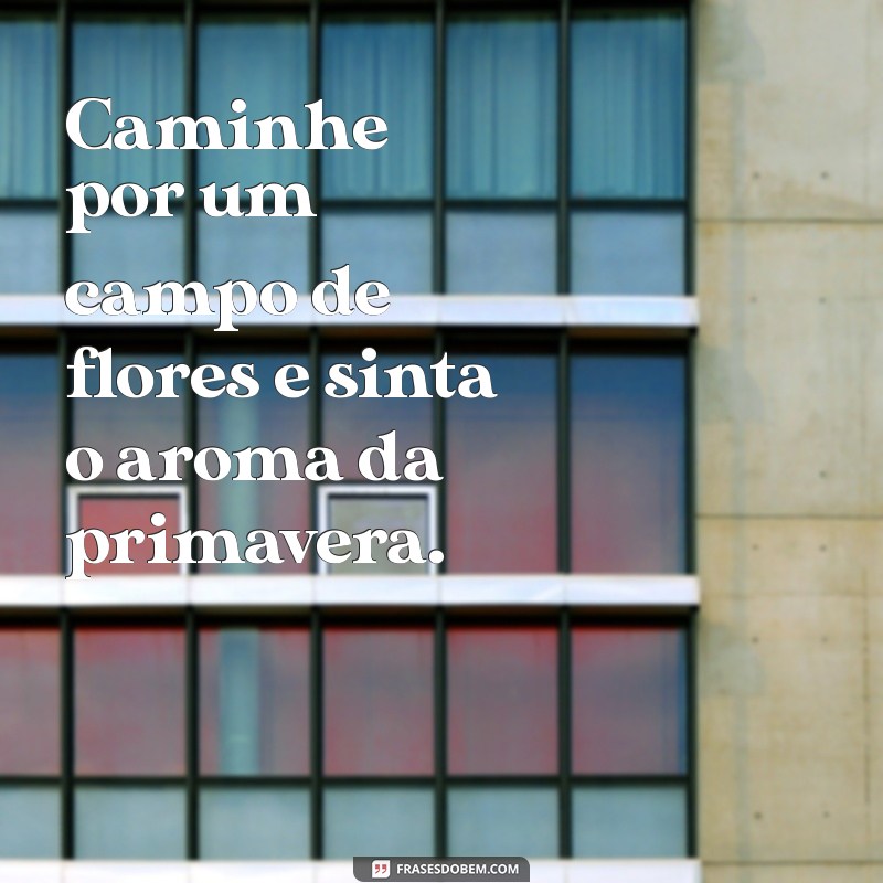 Frases Inspiradoras para Aproveitar ao Máximo Seus Passeios 