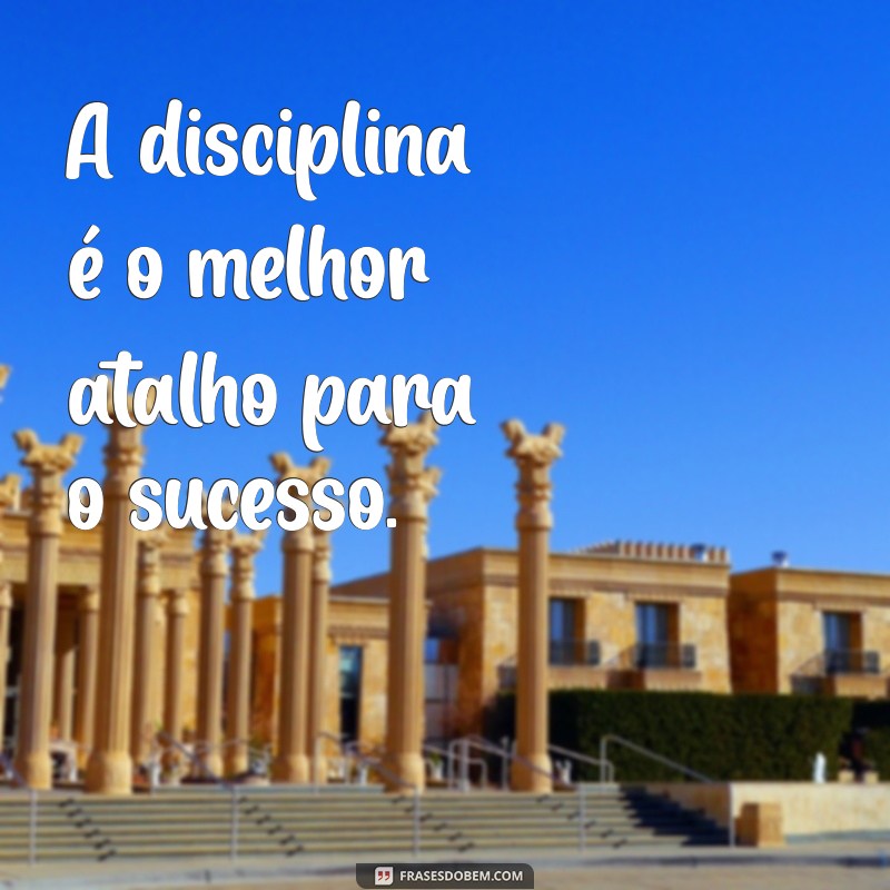 Motivação em Movimento: As Melhores Frases para Inspirar seu Exercício Físico 