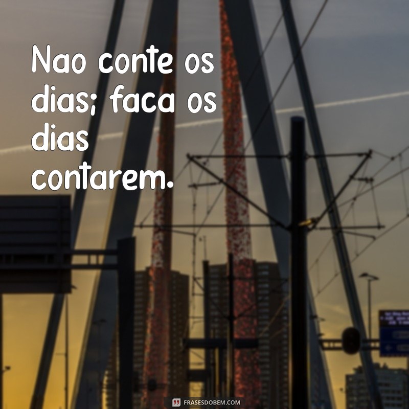 Frases Inspiradoras para Aumentar Sua Motivação Diária 