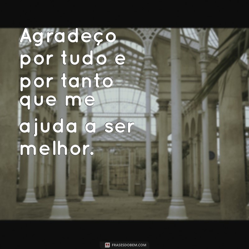 Gratidão Infinita: A Importância de Dizer Obrigado por Tudo e por Tanto 