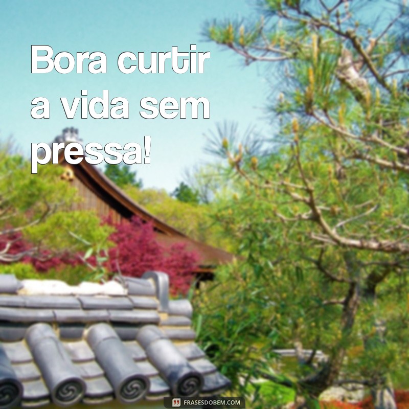 bora curtir a vida Bora curtir a vida sem pressa!