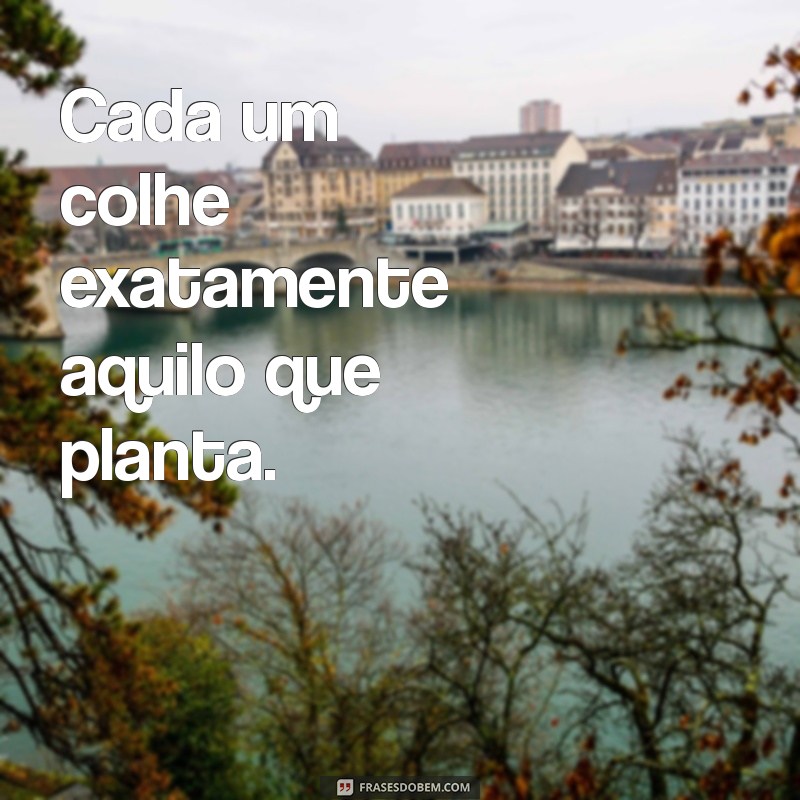 frases cada um tem o que merece Cada um colhe exatamente aquilo que planta.