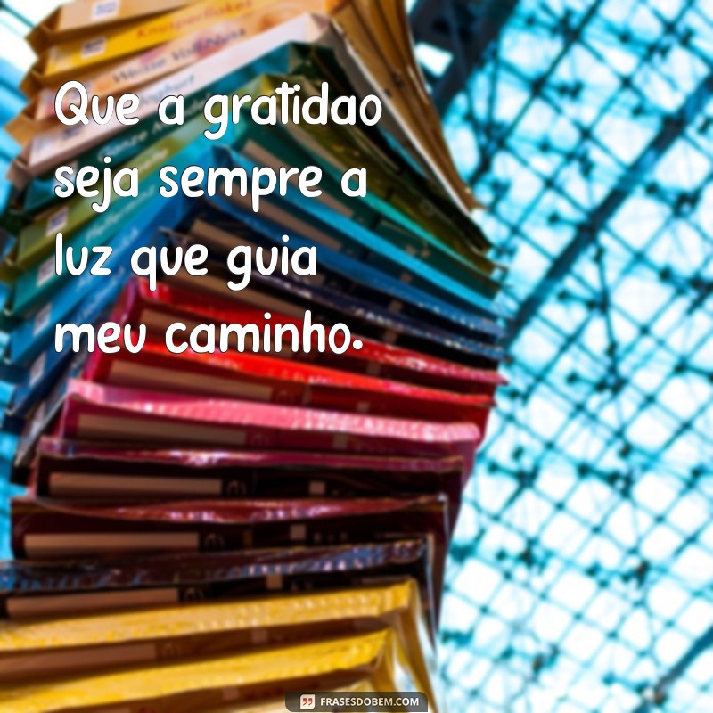 50 Frases Inspiradoras de Agradecimento e Gratidão para Transformar Seu Dia 