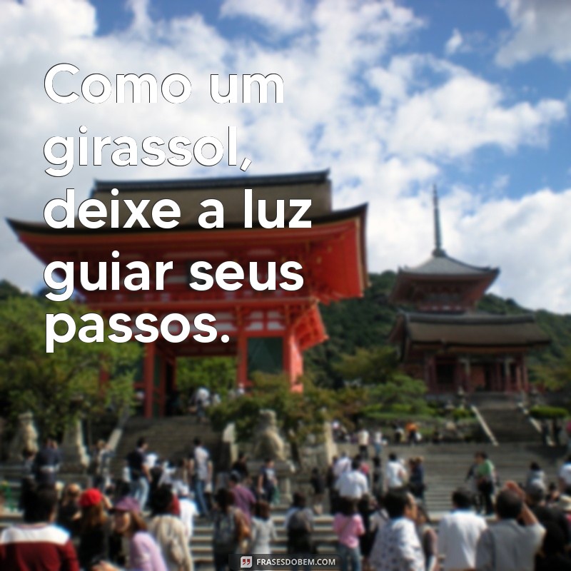 Seja Como um Girassol: Vire-se para a Luz e Deixe a Escuridão para Trás 