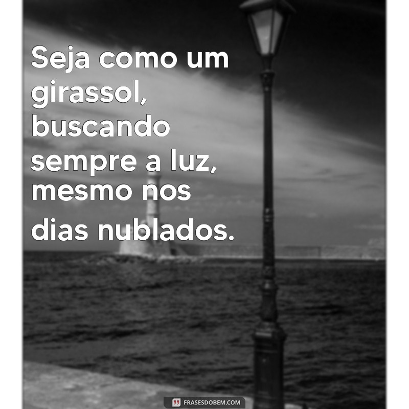 seja como um girassol de costas pro escuro e de frente pra luz Seja como um girassol, buscando sempre a luz, mesmo nos dias nublados.