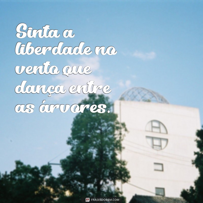 Capturando a Essência: Frases Inspiradoras com Natureza para Suas Fotos 