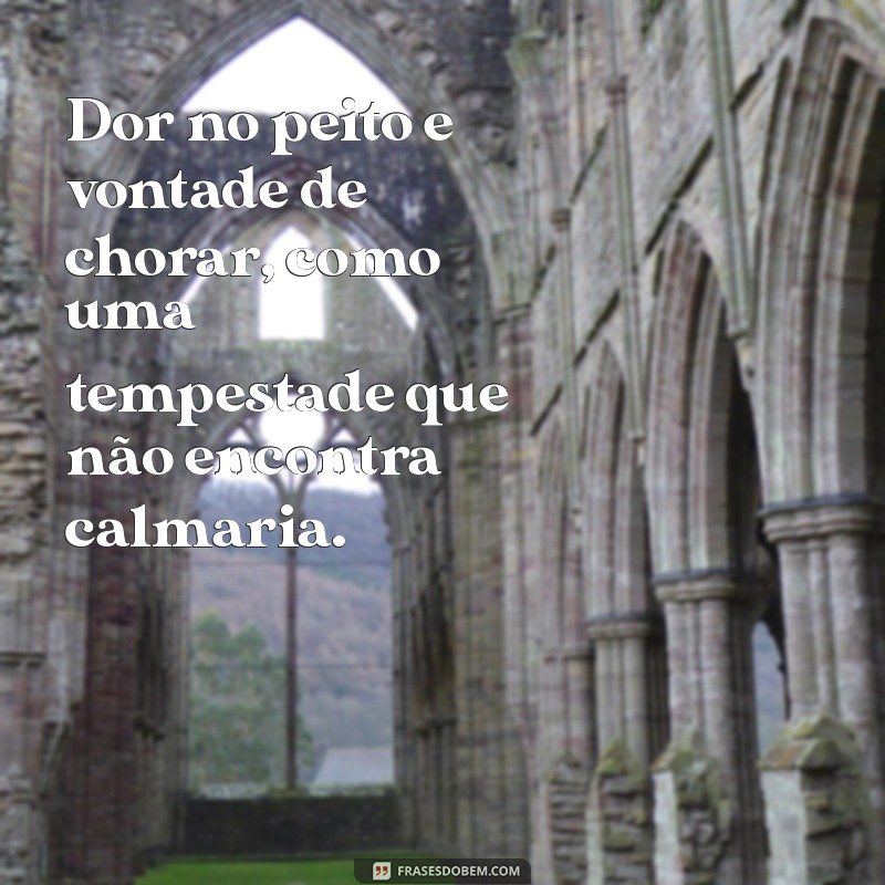 dor no peito e vontade de chorar Dor no peito e vontade de chorar, como uma tempestade que não encontra calmaria.