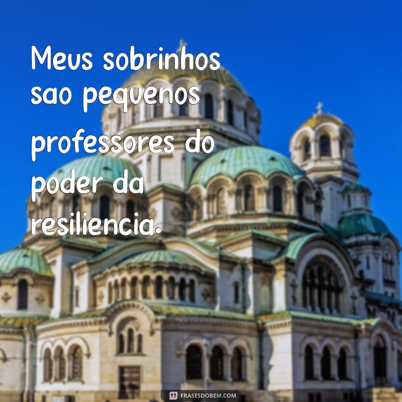 Frases Inspiradoras e Divertidas para Celebrar Meus Sobrinhos 