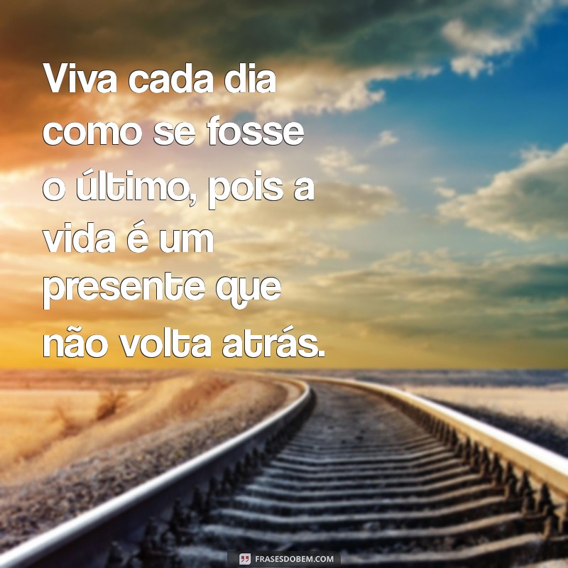 frases viva a vida Viva cada dia como se fosse o último, pois a vida é um presente que não volta atrás.