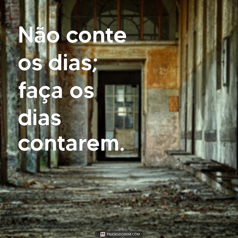 Descubra as Melhores Frases para Viver a Vida Intensamente 