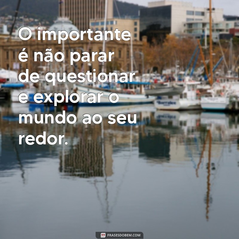 Descubra as Melhores Frases para Viver a Vida Intensamente 