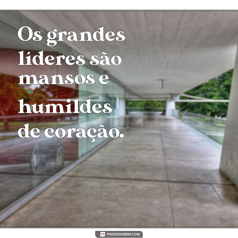 Descubra o Significado de Ser Manso e Humilde de Coração 