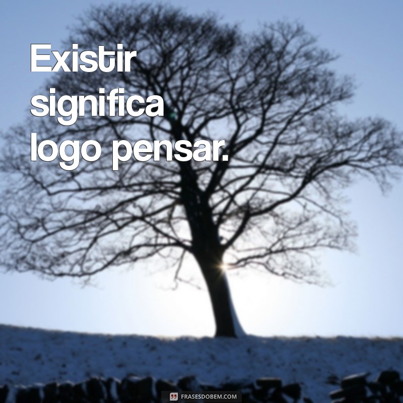 Explorando o Significado de Penso, Logo Existo: Filosofia e Consciência 