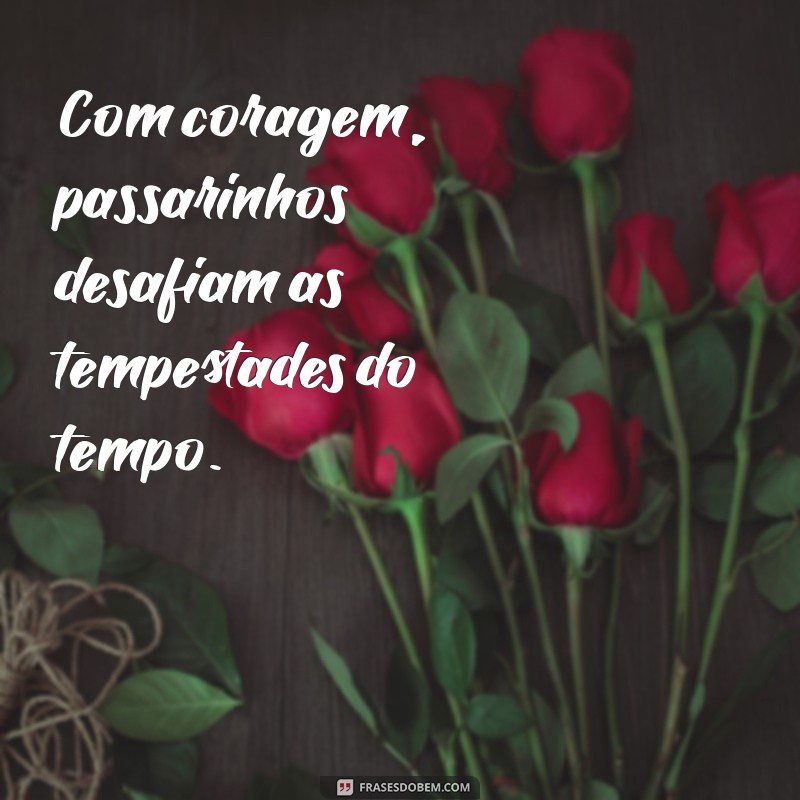 Frases Inspiradoras sobre Pássaros: Descubra a Beleza e a Liberdade das Aves 