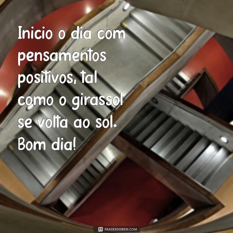 Mensagem de Bom Dia com Girassóis: Inspirações para Iluminar Seu Dia 