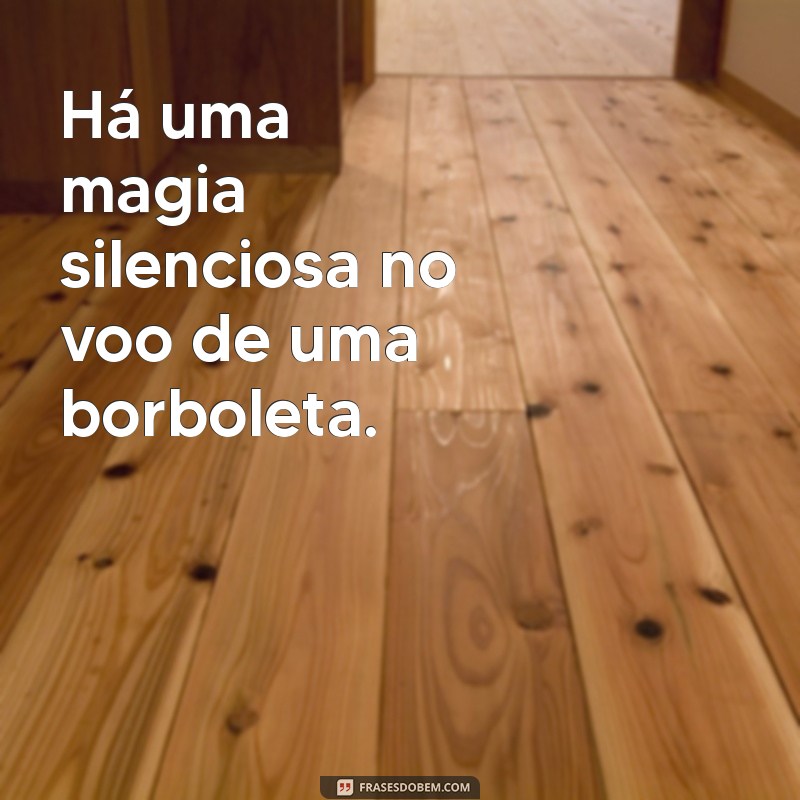 As Melhores Frases Sobre Borboletas para Inspirar e Encantar 