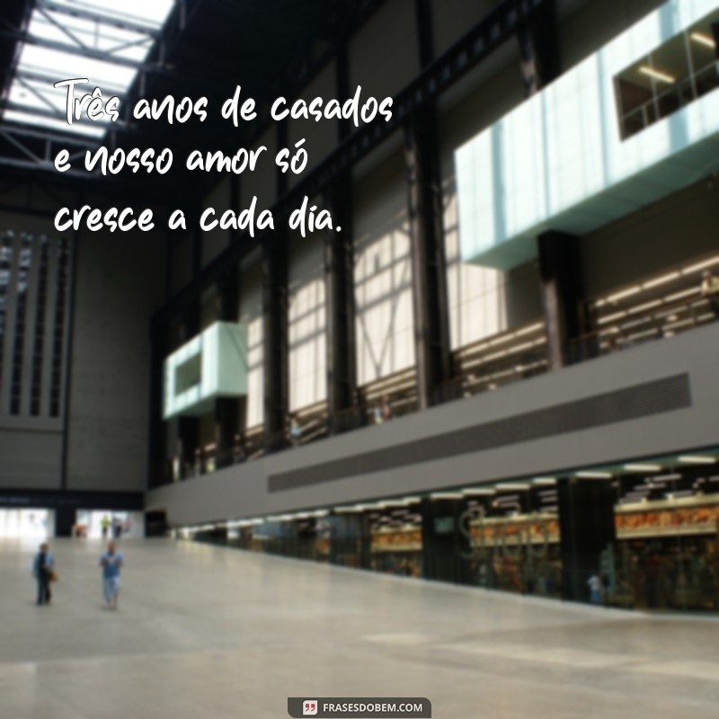 3 anos de casados Três anos de casados e nosso amor só cresce a cada dia.