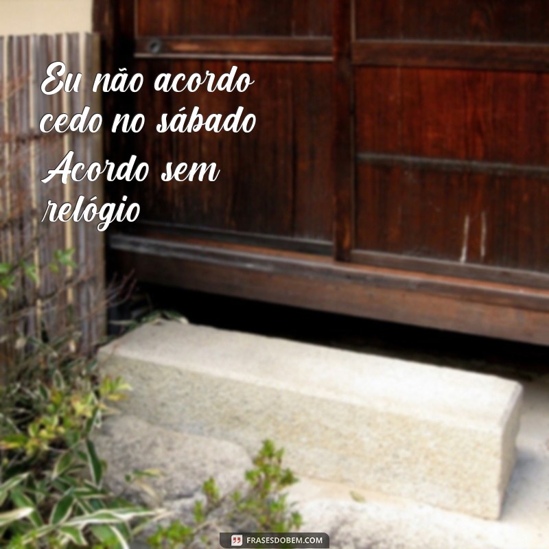 As Melhores Frases Engraçadas para Sábado: Comece o Fim de Semana com Humor! 