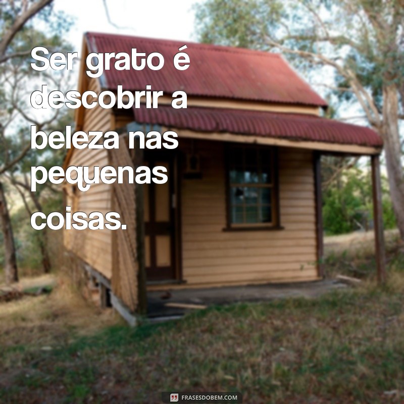 Frases Inspiradoras de Fé, Esperança e Gratidão para Renovar o Espírito 