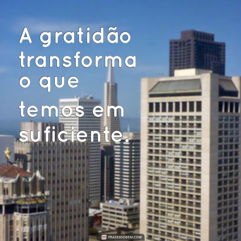 mensagem do dia a dia para refletir A gratidão transforma o que temos em suficiente.