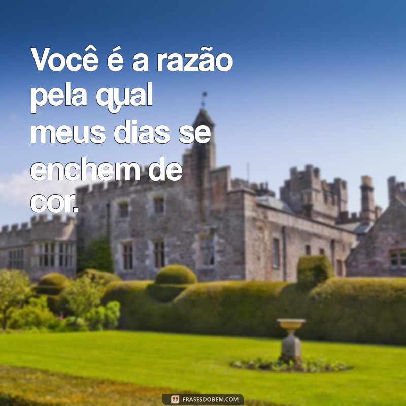 As Melhores Frases de Amor para Tocar o Coração 