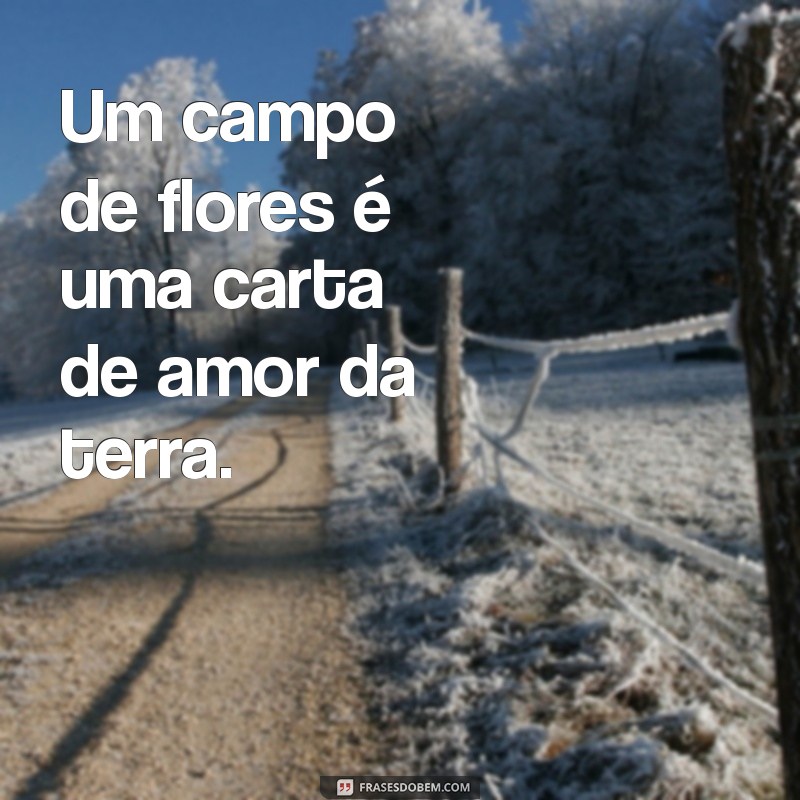 Melhores Frases para Paisagens no Instagram: Inspire-se e Encante Seus Seguidores 