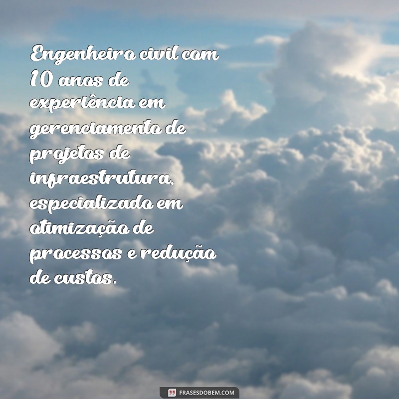 resumo de perfil profissional pronto Engenheiro civil com 10 anos de experiência em gerenciamento de projetos de infraestrutura, especializado em otimização de processos e redução de custos.