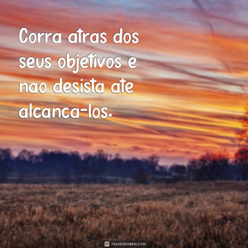 Descubra as melhores frases para sua biografia no Instagram e encante seus seguidores! 