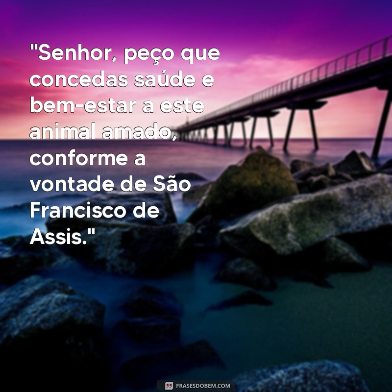 frases oração de sao francisco de assis para curar um animal 