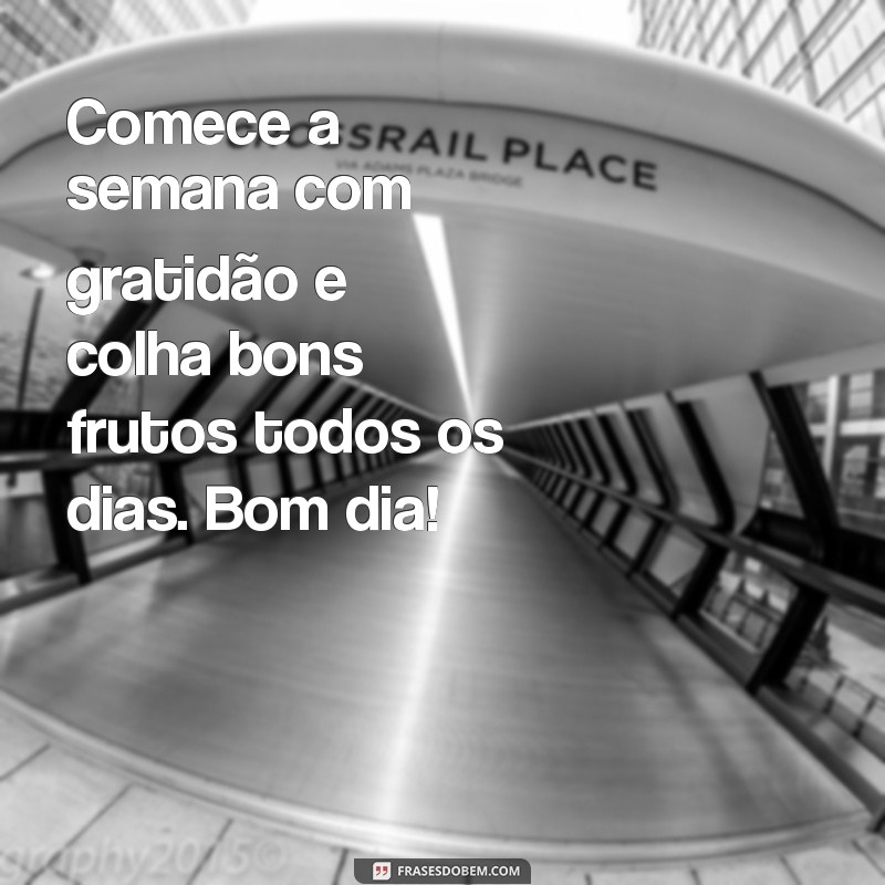 Mensagens de Bom Dia para uma Semana Inspiradora 