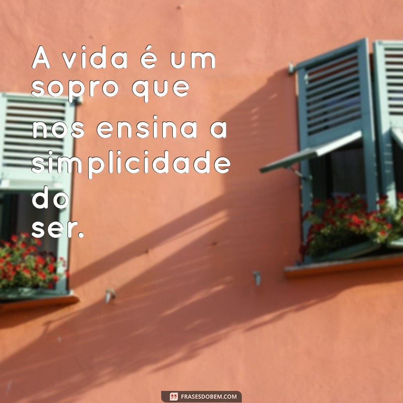 Reflexões Profundas: Frases Inspiradoras Sobre a Brevidade da Vida 