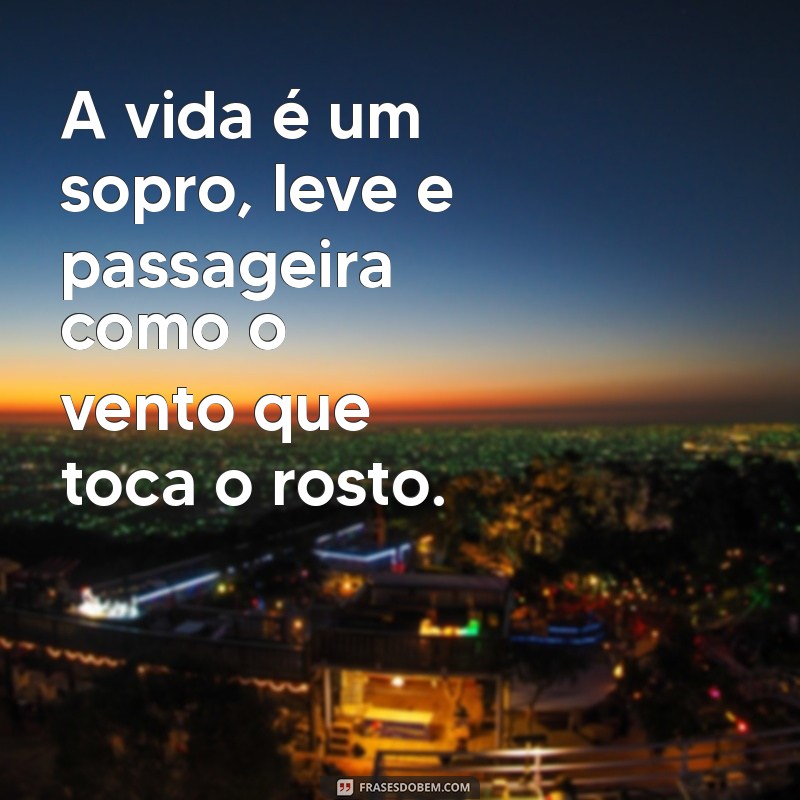 frases sobre a vida é um sopro A vida é um sopro, leve e passageira como o vento que toca o rosto.