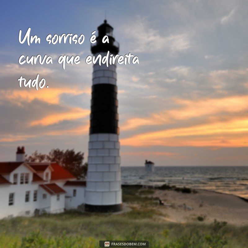 frases curta sobre sorriso Um sorriso é a curva que endireita tudo.