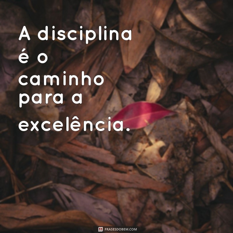 Frases Inspiradoras de Trabalho para Status do WhatsApp: Motivação Diária 