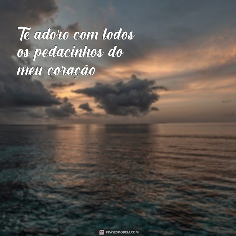 Descubra as Melhores Frases para Dizer Te Adoro 