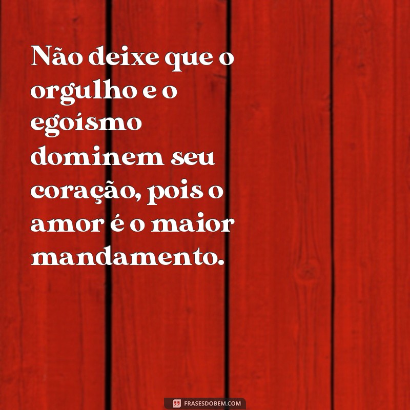 Descubra as melhores frases de Deus para iluminar seu dia 