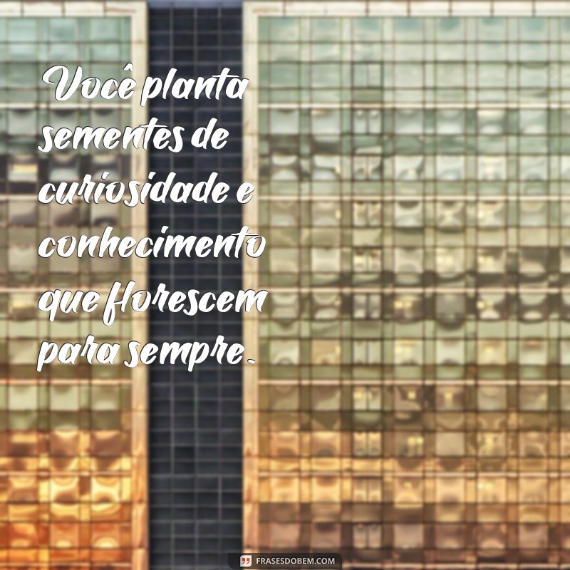 Inspiradoras Frases para Homenagear Professores Especiais 