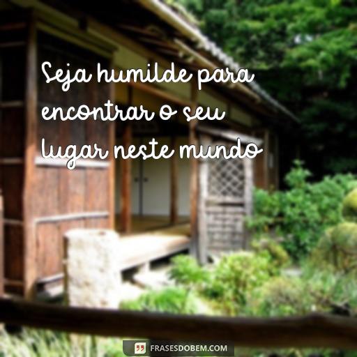 Frases de Favela para Inspirar Humildade e Sabedoria Seja humilde para encontrar o seu lugar neste mundo