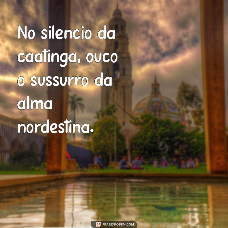 Frases Inspiradoras de Vaqueiro Nordestino: Sabedoria e Cultura do Sertão 