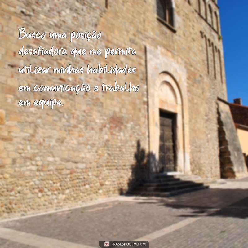 o que colocar no objetivo profissional no currículo Busco uma posição desafiadora que me permita utilizar minhas habilidades em comunicação e trabalho em equipe.