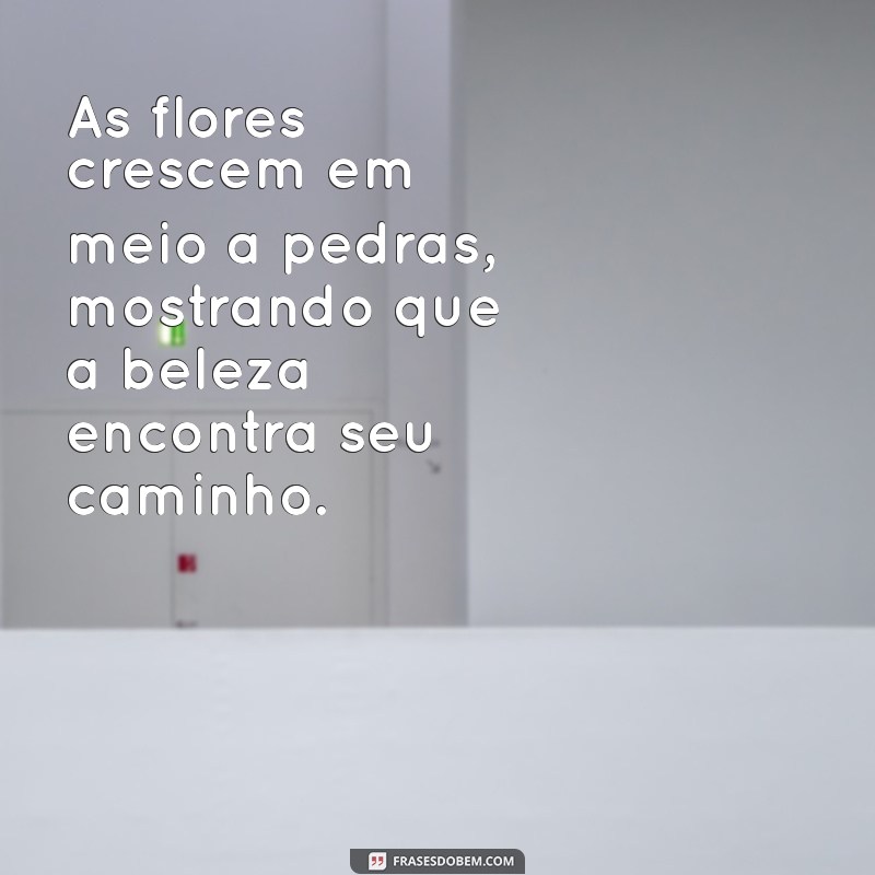 Frases Inspiradoras com a Palavra Flor para Encantar e Refletir 