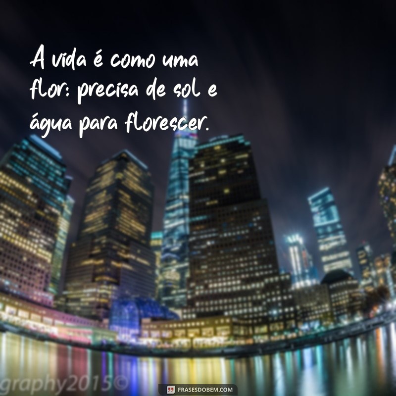 frases com a palavra flor A vida é como uma flor: precisa de sol e água para florescer.