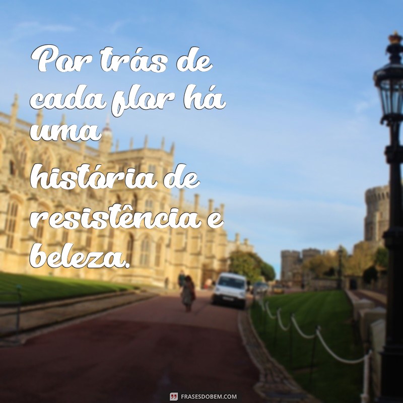 Frases Inspiradoras com a Palavra Flor para Encantar e Refletir 