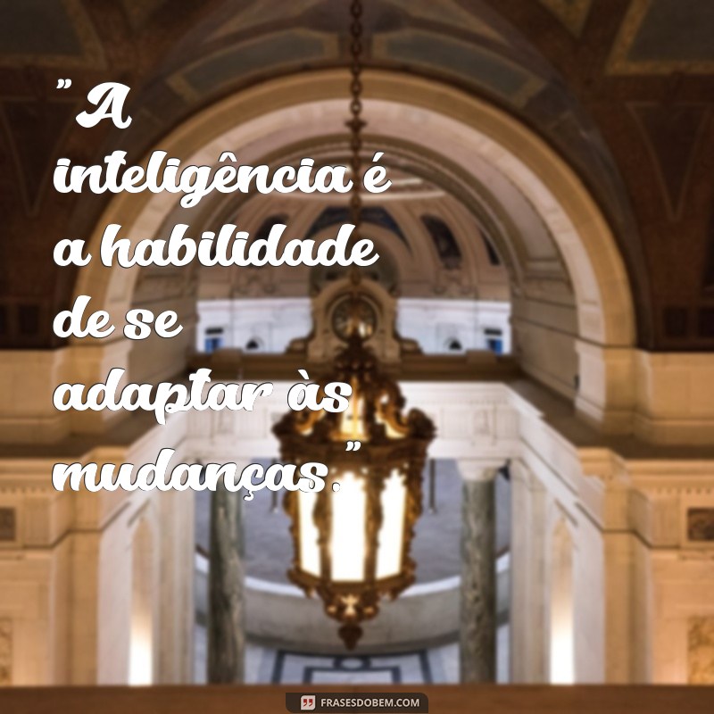 frases sobre inteligência 