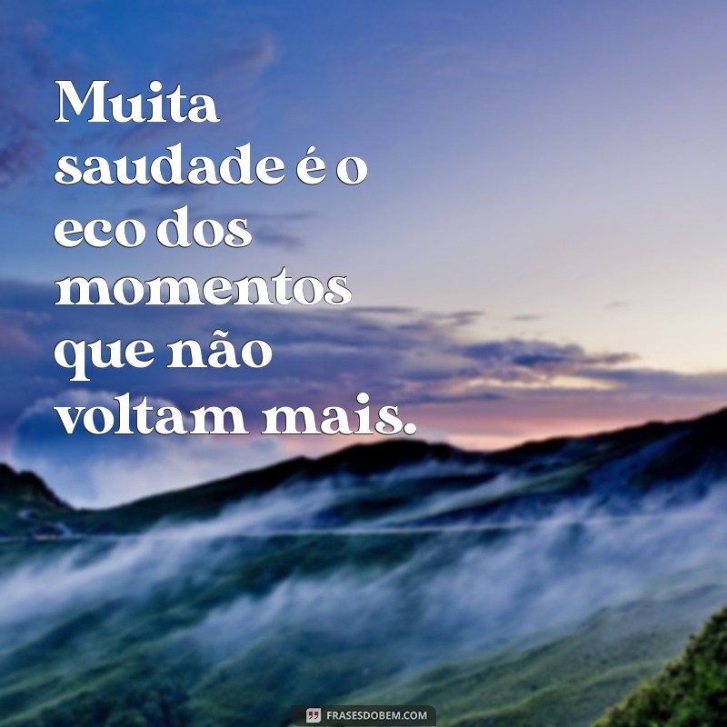 muita saudade Muita saudade é o eco dos momentos que não voltam mais.