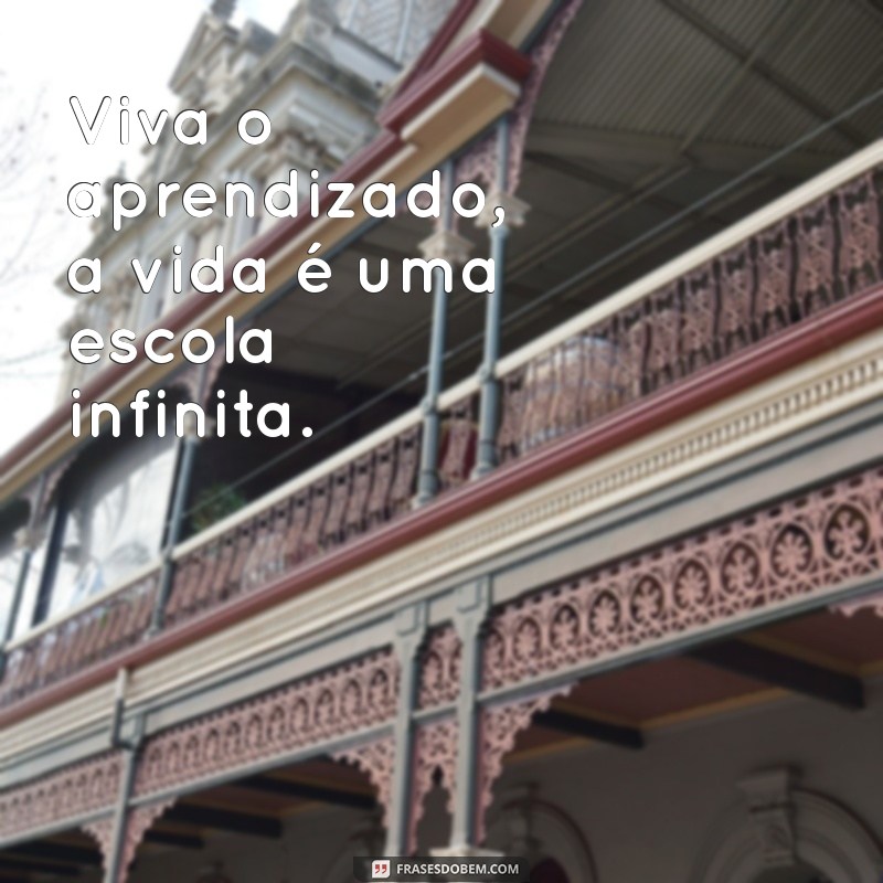 Viva Frases: Inspirações para Transformar Seu Dia a Dia 