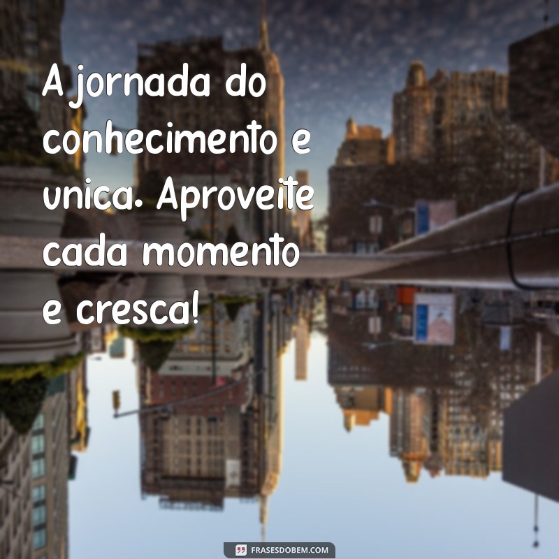 10 Mensagens Motivacionais Para Impulsionar Seus Estudos e Aumentar Seu Desempenho 