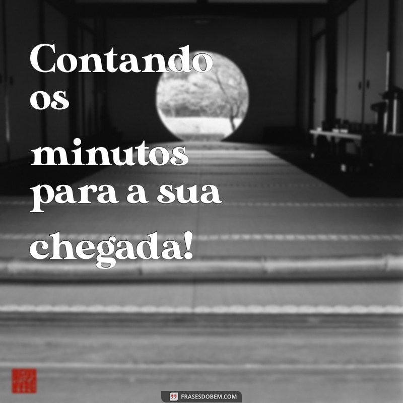 ansiosa por sua chegada Contando os minutos para a sua chegada!