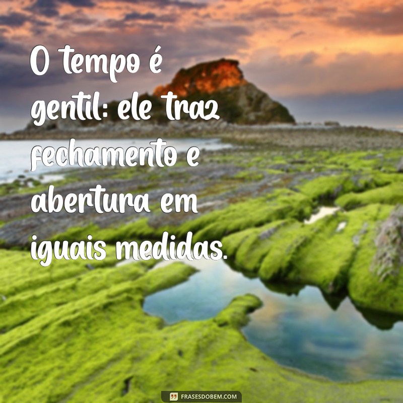 Frases Inspiradoras Sobre o Ciclo da Vida: Reflexões e Aprendizados 