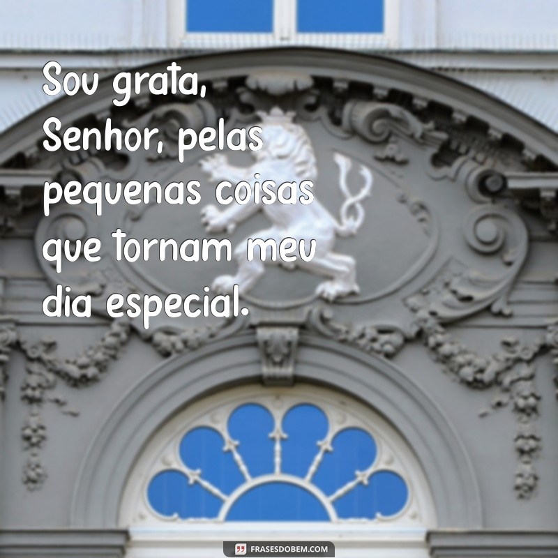 Gratidão a Deus: Como Agradecer Pelo Dia de Hoje e Aumentar Sua Felicidade 